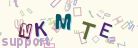 This is a captcha-picture. It is used to prevent mass-access by robots. (see: www.captcha.net)