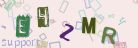 This is a captcha-picture. It is used to prevent mass-access by robots. (see: www.captcha.net)