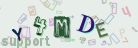 This is a captcha-picture. It is used to prevent mass-access by robots. (see: www.captcha.net)