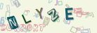 This is a captcha-picture. It is used to prevent mass-access by robots. (see: www.captcha.net)